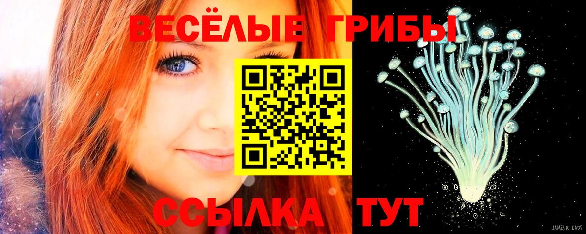 Псилоцибиновые грибы мицелий  Вход с VPN  Луховицы  где найти наркотики  Псилоцибиновые грибы Psilocybine cubensis 