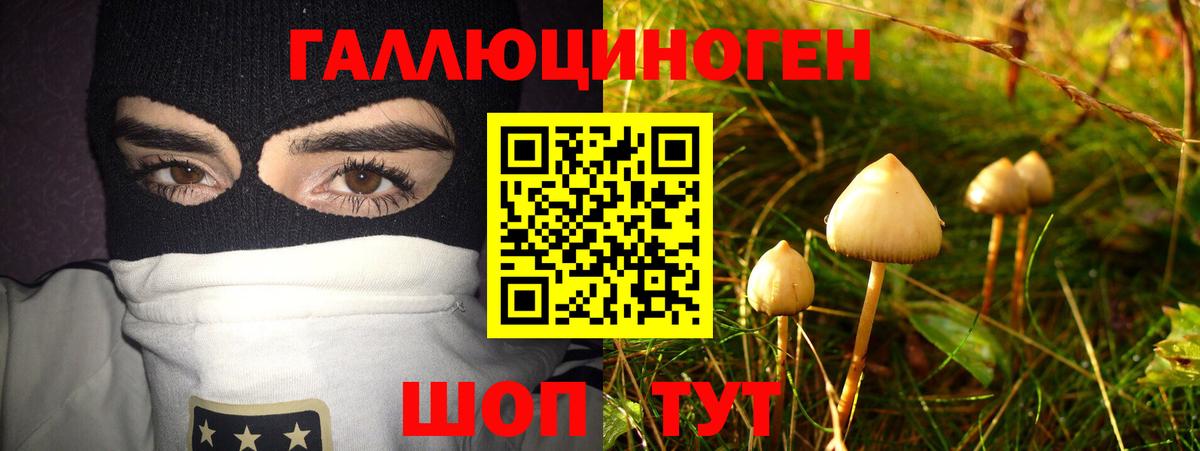 Галлюциногенные грибы прущие грибы Луховицы